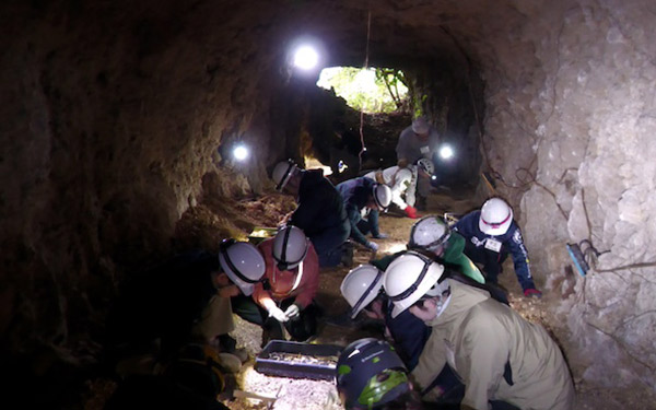 沖縄 戦没者遺骨収容 2025 -ボランティアの組織的調査-