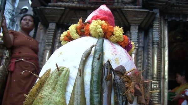 神が宿る供物 ~ネパール・パタンのパンチャリ・ブザ祭り~