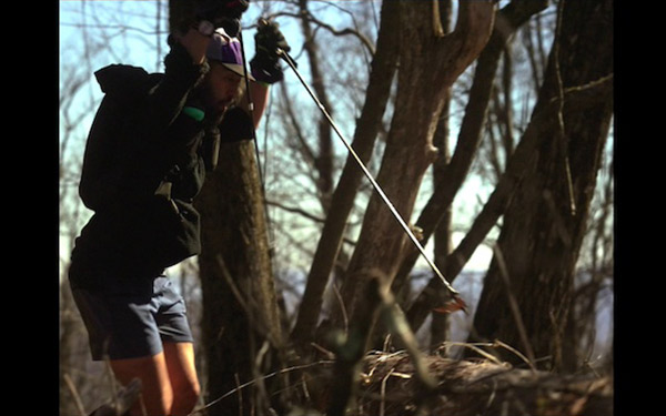 メインクエスト２ 〜穢れなき負け犬の遠吠え〜